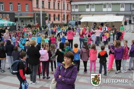 IMG_2391 (1)